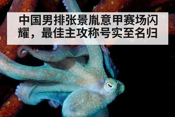 中国男排张景胤意甲赛场闪耀,最佳主攻称号实至名归